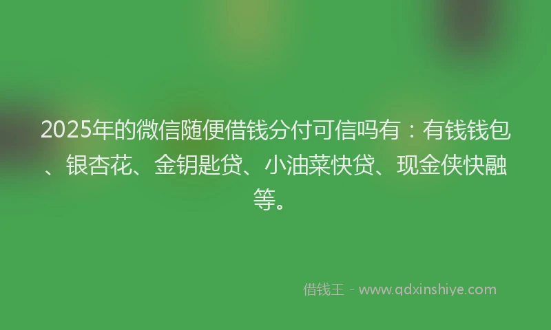 2025年的微信随便借钱分付可信吗有：有钱钱包、银杏花、金钥匙贷、小油菜快贷、现金侠快融等。