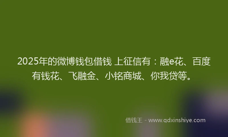 2025年的微博钱包借钱 上征信有：融e花、百度有钱花、飞融金、小铭商城、你我贷等。