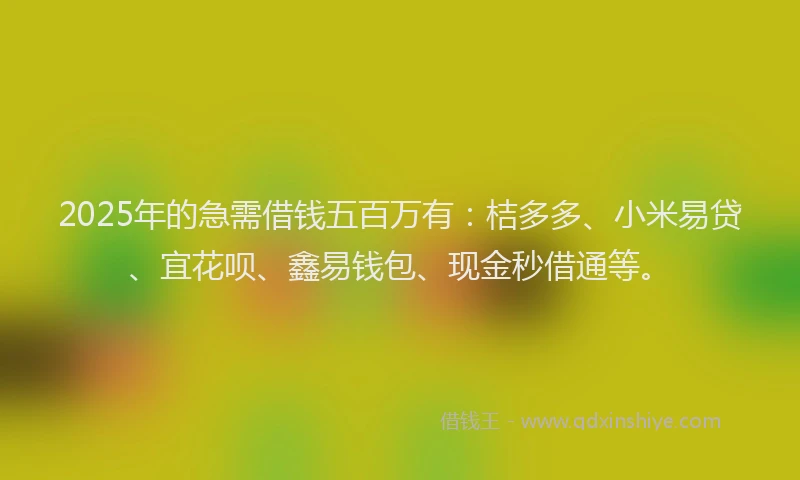2025年的急需借钱五百万有：桔多多、小米易贷、宜花呗、鑫易钱包、现金秒借通等。