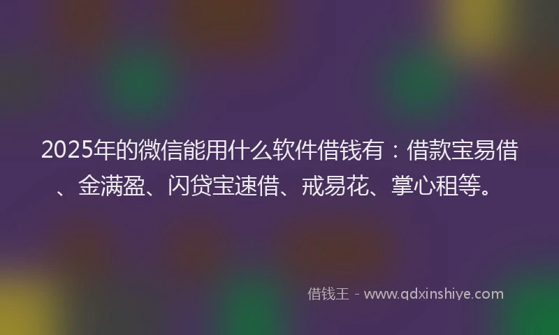 2025年的微信能用什么软件借钱有：借款宝易借、金满盈、闪贷宝速借、戒易花、掌心租等。
