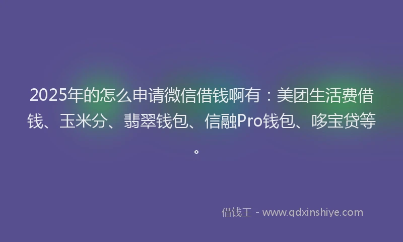 2025年的怎么申请微信借钱啊有：美团生活费借钱、玉米分、翡翠钱包、信融Pro钱包、哆宝贷等。