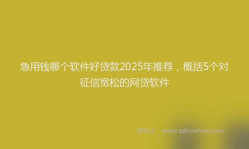 急用钱哪个软件好贷款2025年推荐，概括5个对征信宽松的网贷软件