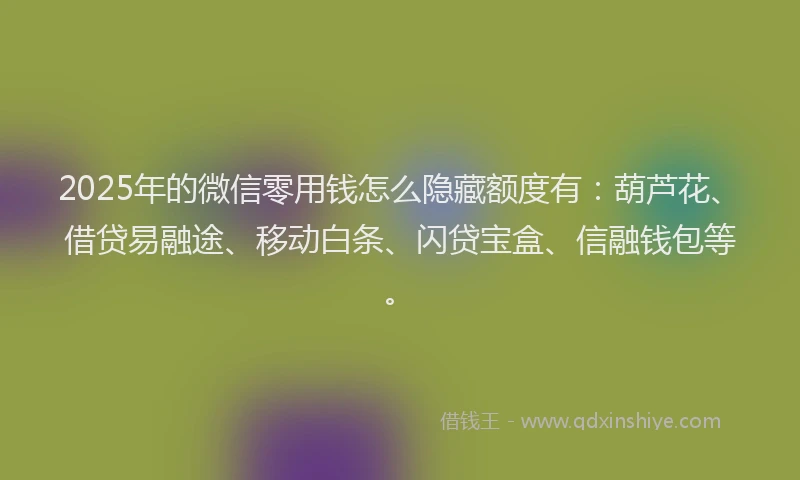 2025年的微信零用钱怎么隐藏额度有：葫芦花、借贷易融途、移动白条、闪贷宝盒、信融钱包等。