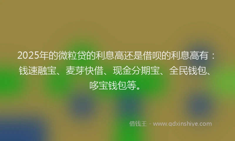 2025年的微粒贷的利息高还是借呗的利息高有：钱速融宝、麦芽快借、现金分期宝、全民钱包、哆宝钱包等。