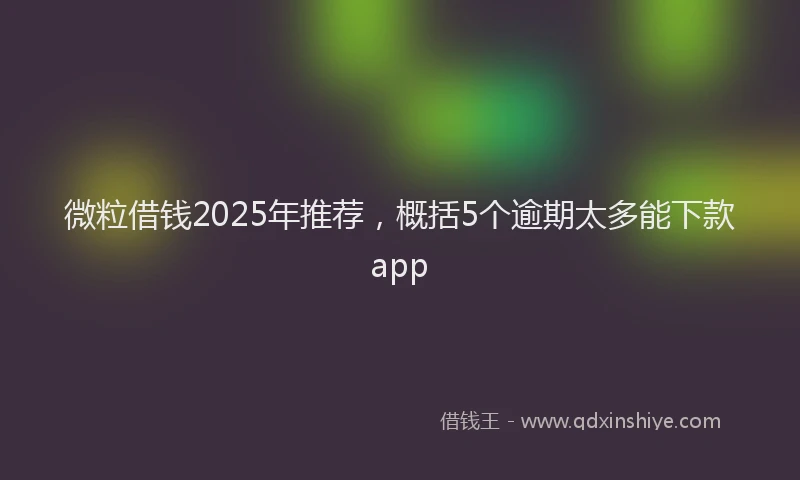 微粒借钱2025年推荐，概括5个逾期太多能下款app