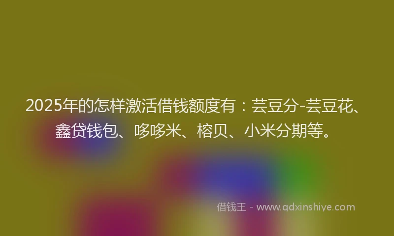 2025年的怎样激活借钱额度有：芸豆分-芸豆花、鑫贷钱包、哆哆米、榕贝、小米分期等。