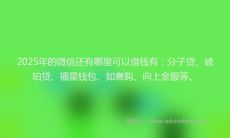 2025年的微信还有哪里可以借钱有：分子贷、琥珀贷、福星钱包、如意购、向上金服等。