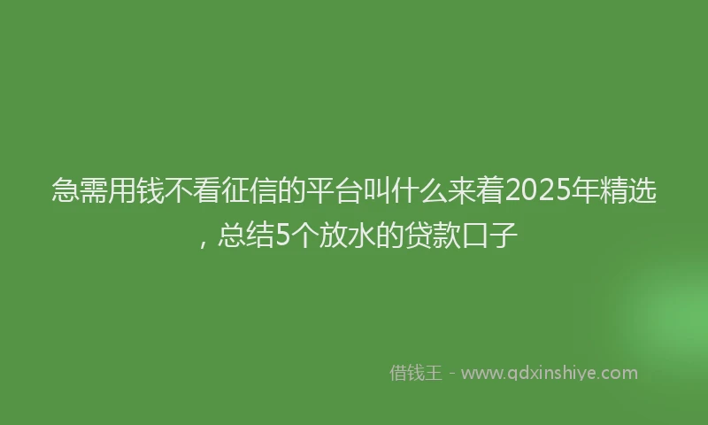急需用钱不看征信的平台叫什么来着2025年精选，总结5个放水的贷款口子