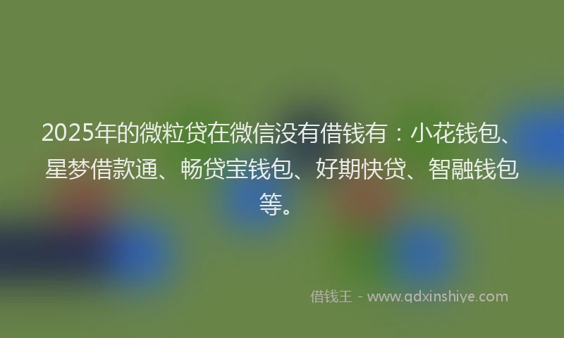 2025年的微粒贷在微信没有借钱有：小花钱包、星梦借款通、畅贷宝钱包、好期快贷、智融钱包等。