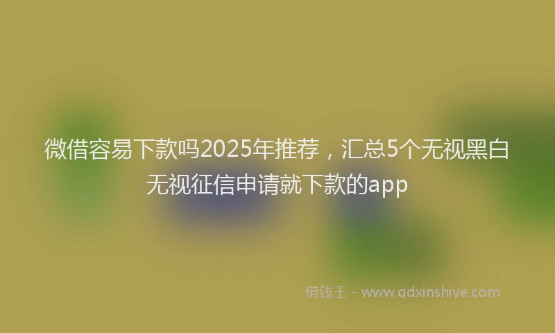 微借容易下款吗2025年推荐，汇总5个无视黑白无视征信申请就下款的app