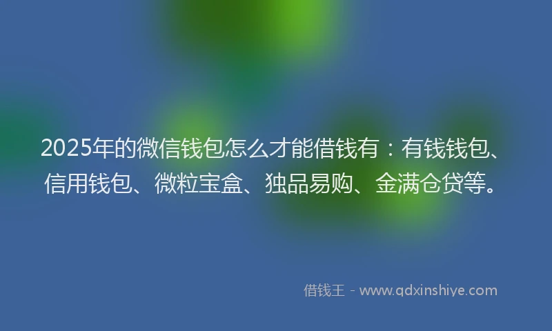 2025年的微信钱包怎么才能借钱有：有钱钱包、信用钱包、微粒宝盒、独品易购、金满仓贷等。