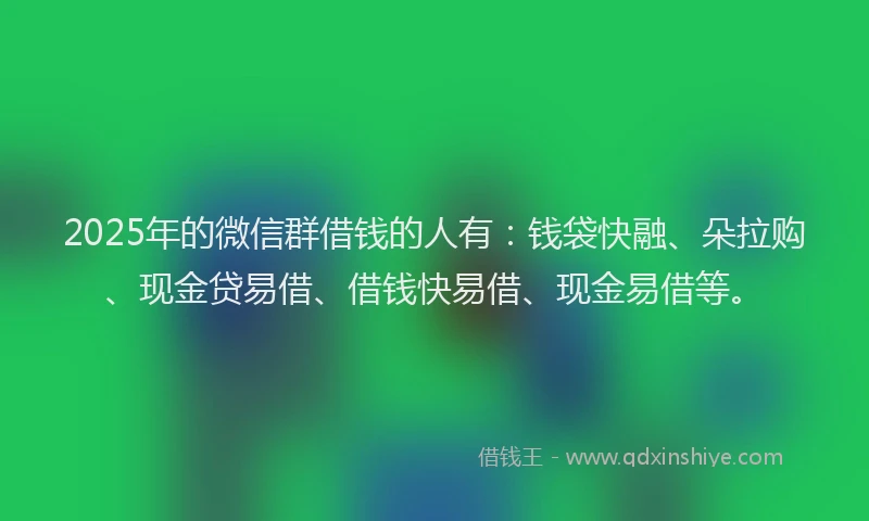 2025年的微信群借钱的人有：钱袋快融、朵拉购、现金贷易借、借钱快易借、现金易借等。