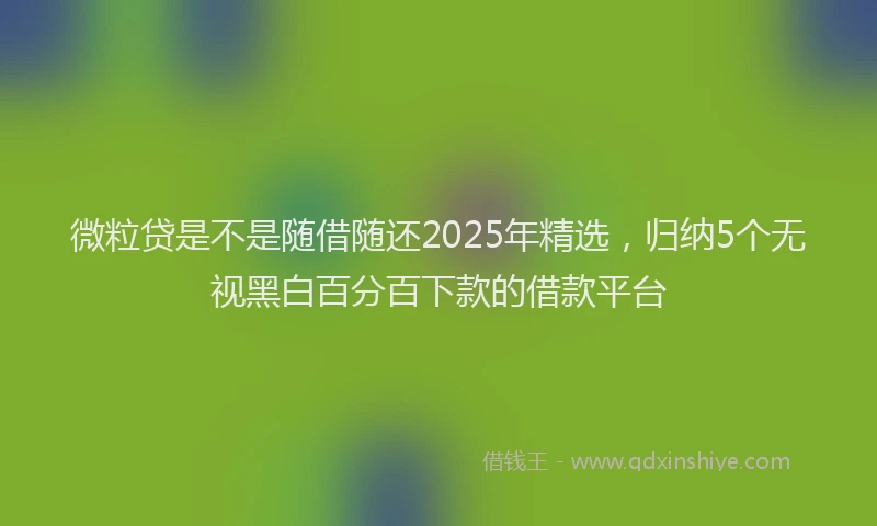 微粒贷是不是随借随还2025年精选，归纳5个无视黑白百分百下款的借款平台