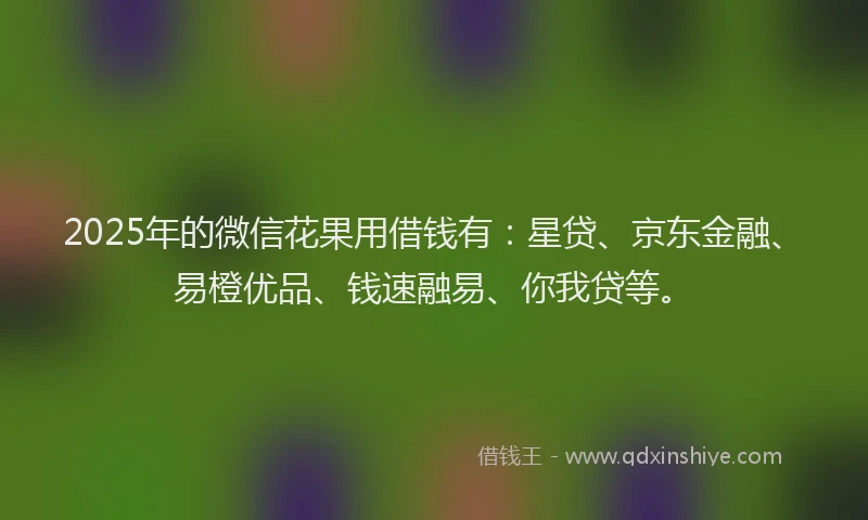 2025年的微信花果用借钱有：星贷、京东金融、易橙优品、钱速融易、你我贷等。