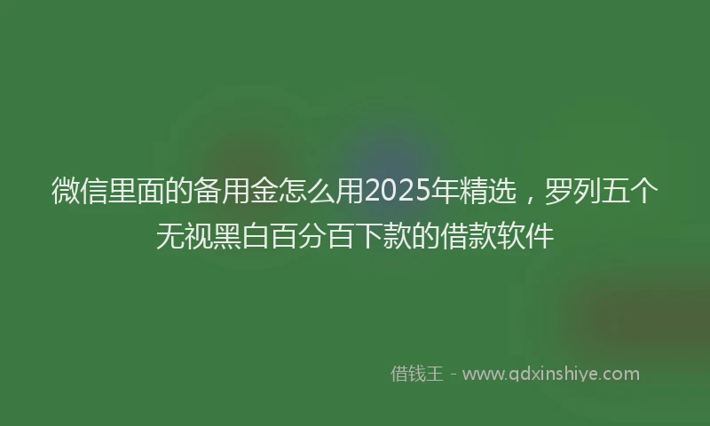 微信里面的备用金怎么用2025年精选，罗列五个无视黑白百分百下款的借款软件