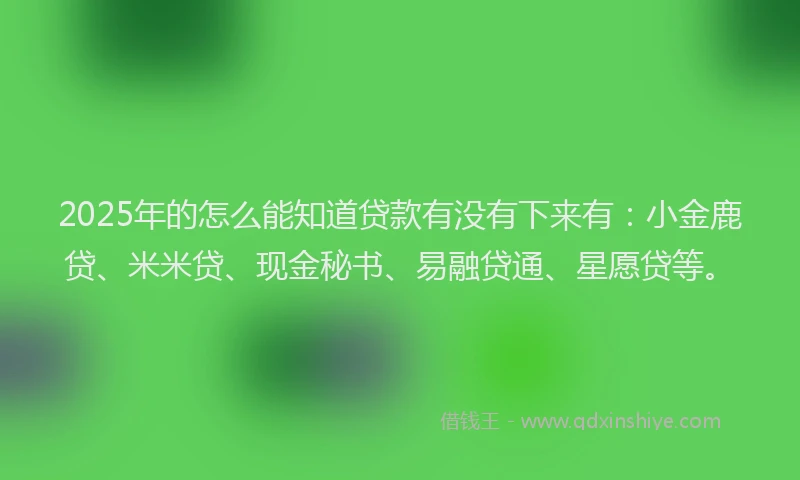 2025年的怎么能知道贷款有没有下来有：小金鹿贷、米米贷、现金秘书、易融贷通、星愿贷等。