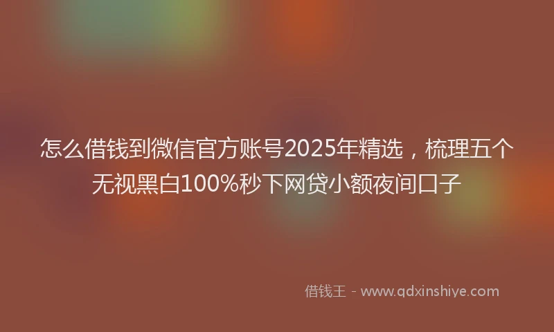 怎么借钱到微信官方账号2025年精选，梳理五个无视黑白100%秒下网贷小额夜间口子