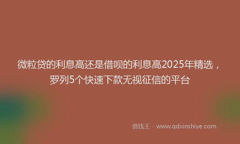 微粒贷的利息高还是借呗的利息高2025年精选，罗列5个快速下款无视征信的平台