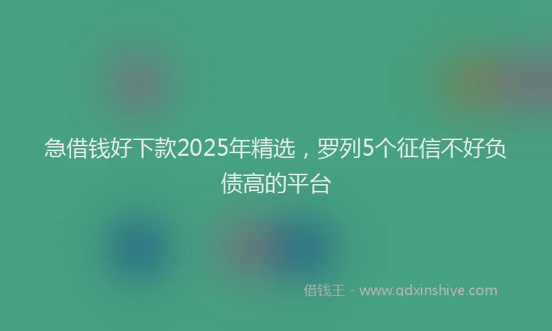 急借钱好下款2025年精选，罗列5个征信不好负债高的平台