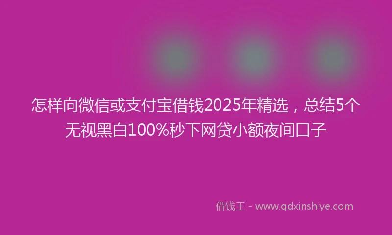 怎样向微信或支付宝借钱2025年精选，总结5个无视黑白100%秒下网贷小额夜间口子
