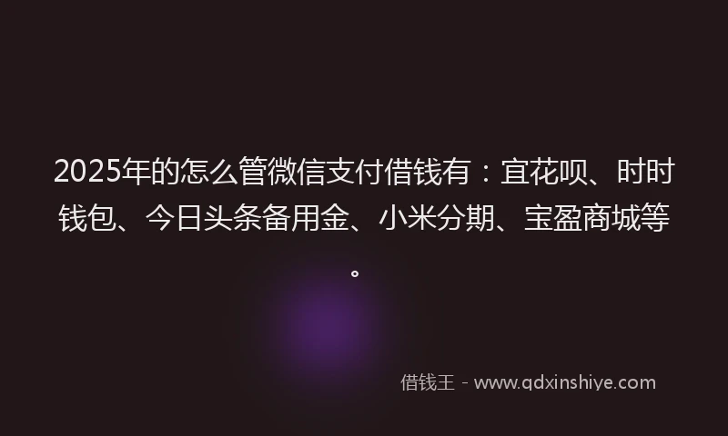 2025年的怎么管微信支付借钱有：宜花呗、时时钱包、今日头条备用金、小米分期、宝盈商城等。