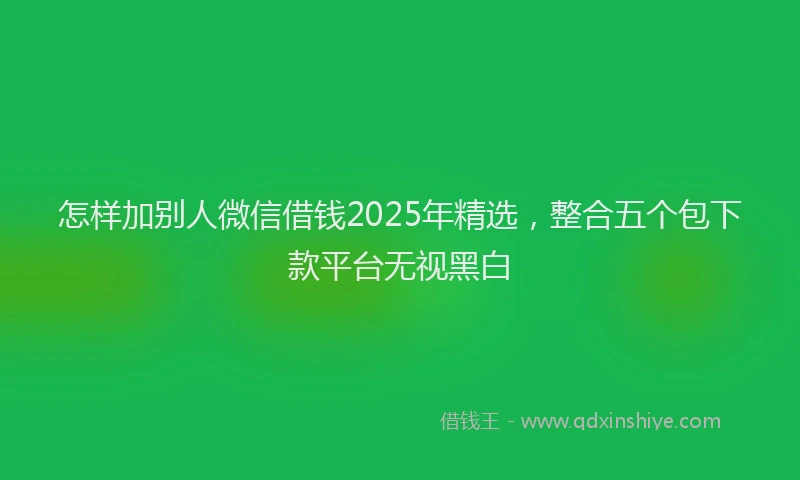 怎样加别人微信借钱2025年精选，整合五个包下款平台无视黑白