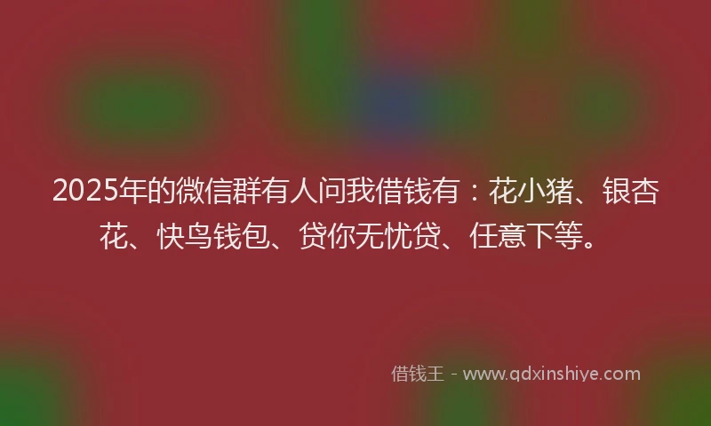 2025年的微信群有人问我借钱有：花小猪、银杏花、快鸟钱包、贷你无忧贷、任意下等。
