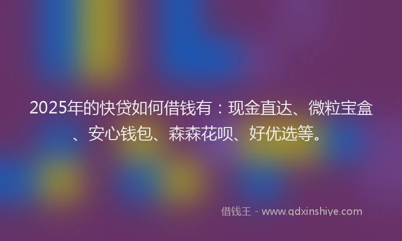 2025年的快贷如何借钱有：现金直达、微粒宝盒、安心钱包、森森花呗、好优选等。