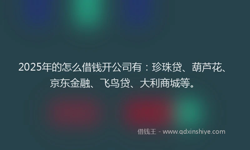 2025年的怎么借钱开公司有：珍珠贷、葫芦花、京东金融、飞鸟贷、大利商城等。