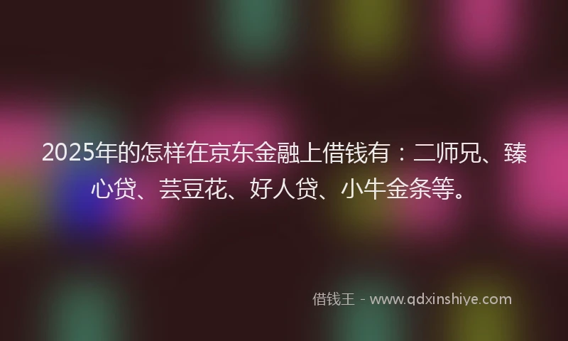 2025年的怎样在京东金融上借钱有：二师兄、臻心贷、芸豆花、好人贷、小牛金条等。