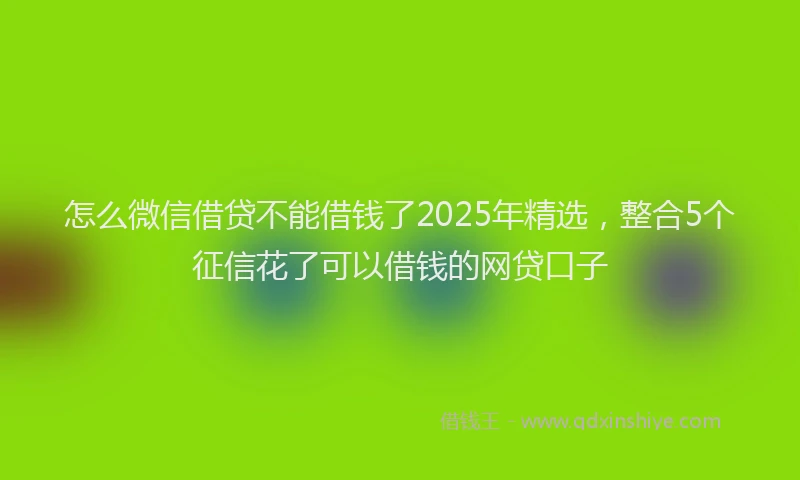 怎么微信借贷不能借钱了2025年精选，整合5个征信花了可以借钱的网贷口子