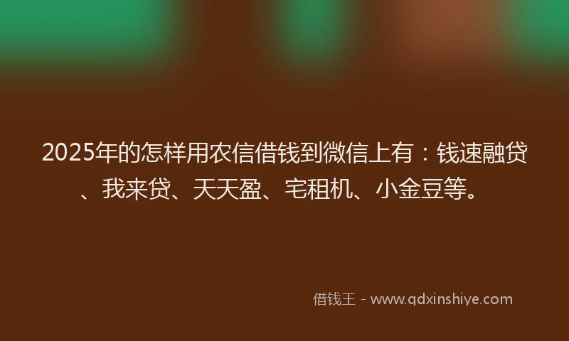 2025年的怎样用农信借钱到微信上有：钱速融贷、我来贷、天天盈、宅租机、小金豆等。