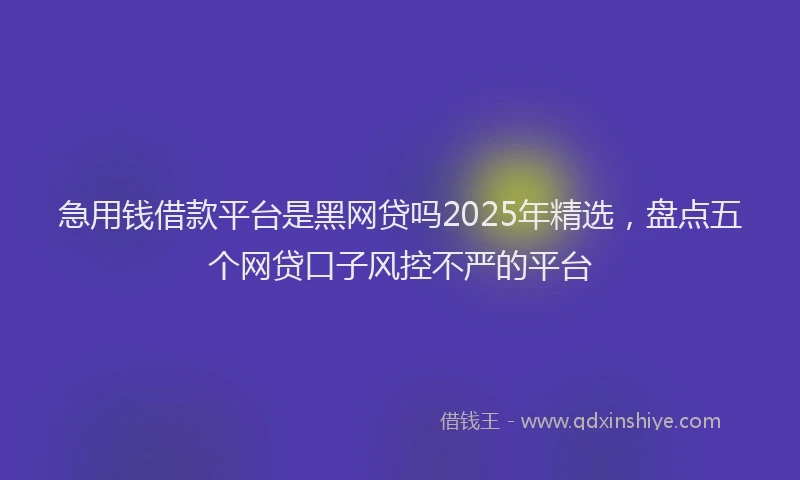 急用钱借款平台是黑网贷吗2025年精选，盘点五个网贷口子风控不严的平台