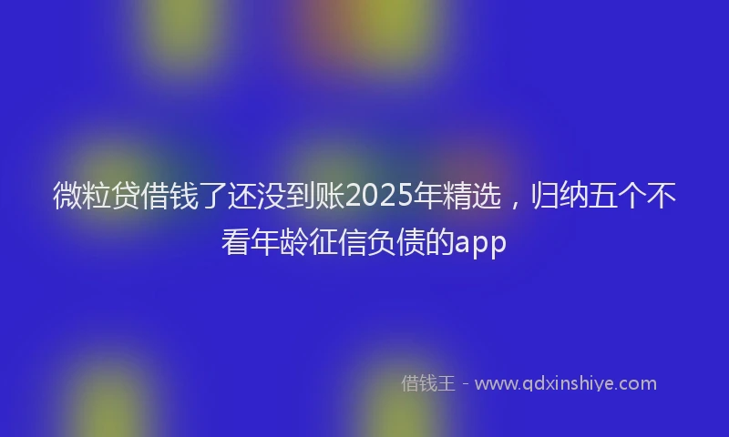 微粒贷借钱了还没到账2025年精选，归纳五个不看年龄征信负债的app