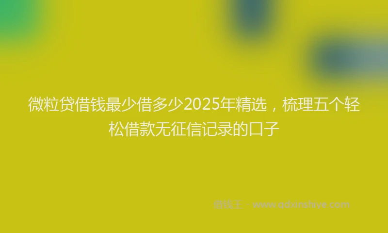微粒贷借钱最少借多少2025年精选，梳理五个轻松借款无征信记录的口子