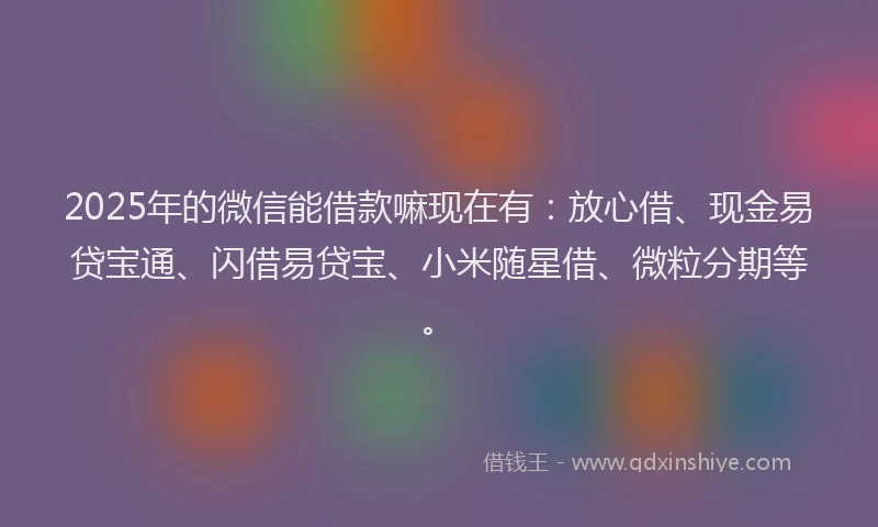 2025年的微信能借款嘛现在有：放心借、现金易贷宝通、闪借易贷宝、小米随星借、微粒分期等。