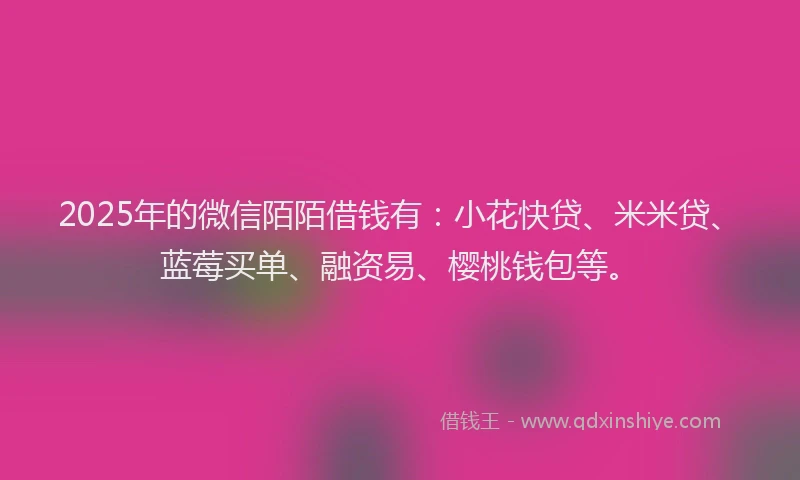 2025年的微信陌陌借钱有：小花快贷、米米贷、蓝莓买单、融资易、樱桃钱包等。