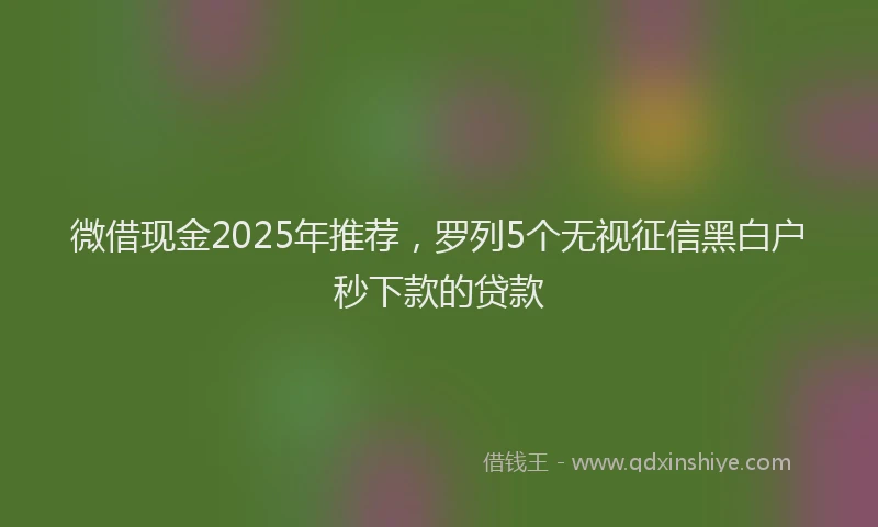 微借现金2025年推荐，罗列5个无视征信黑白户秒下款的贷款