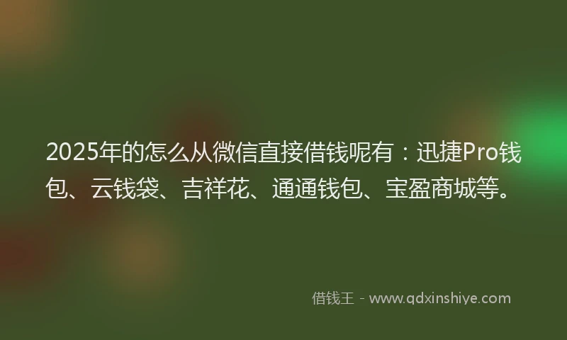 2025年的怎么从微信直接借钱呢有：迅捷Pro钱包、云钱袋、吉祥花、通通钱包、宝盈商城等。