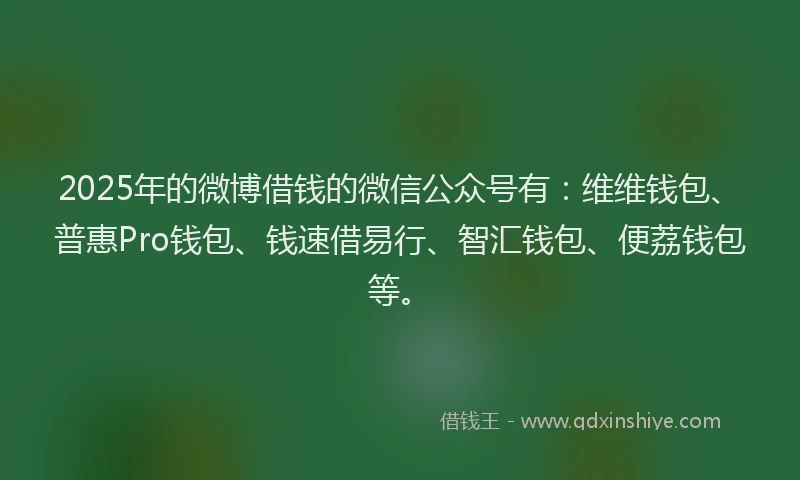 2025年的微博借钱的微信公众号有：维维钱包、普惠Pro钱包、钱速借易行、智汇钱包、便荔钱包等。