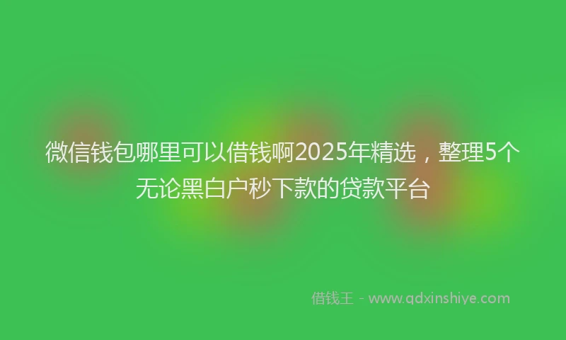 微信钱包哪里可以借钱啊2025年精选，整理5个无论黑白户秒下款的贷款平台