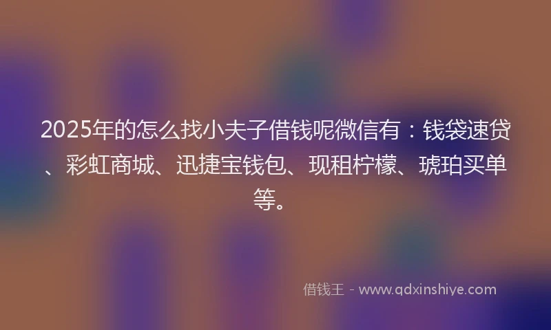 2025年的怎么找小夫子借钱呢微信有：钱袋速贷、彩虹商城、迅捷宝钱包、现租柠檬、琥珀买单等。