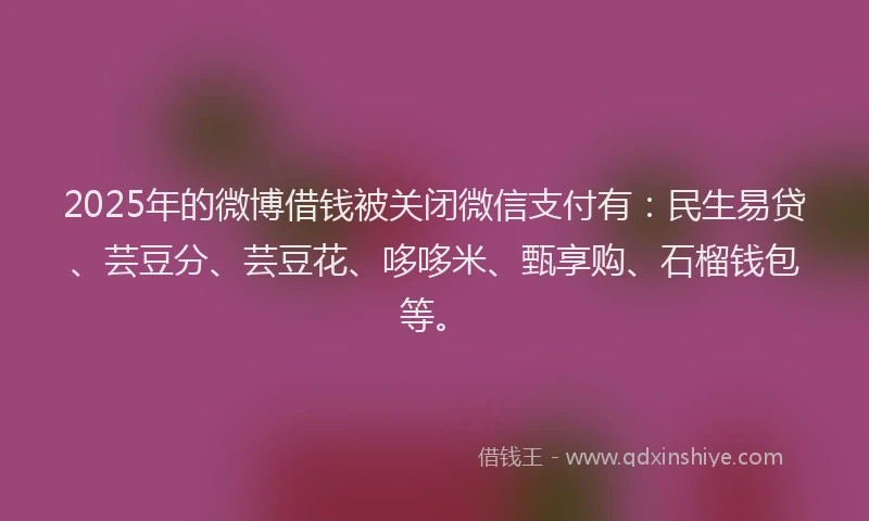 2025年的微博借钱被关闭微信支付有：民生易贷、芸豆分、芸豆花、哆哆米、甄享购、石榴钱包等。