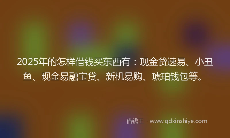 2025年的怎样借钱买东西有：现金贷速易、小丑鱼、现金易融宝贷、新机易购、琥珀钱包等。