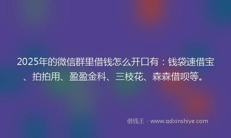 2025年的微信群里借钱怎么开口有：钱袋速借宝、拍拍用、盈盈金科、三枝花、森森借呗等。