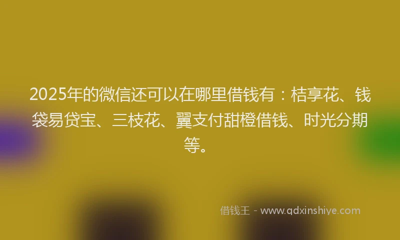 2025年的微信还可以在哪里借钱有：桔享花、钱袋易贷宝、三枝花、翼支付甜橙借钱、时光分期等。