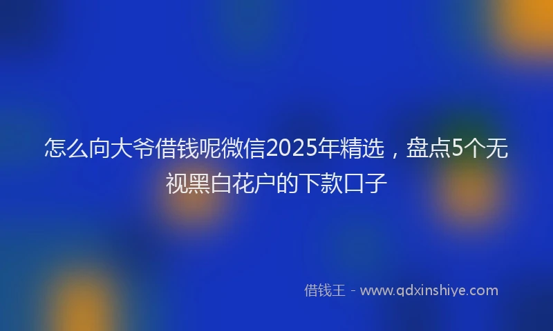 怎么向大爷借钱呢微信2025年精选，盘点5个无视黑白花户的下款口子