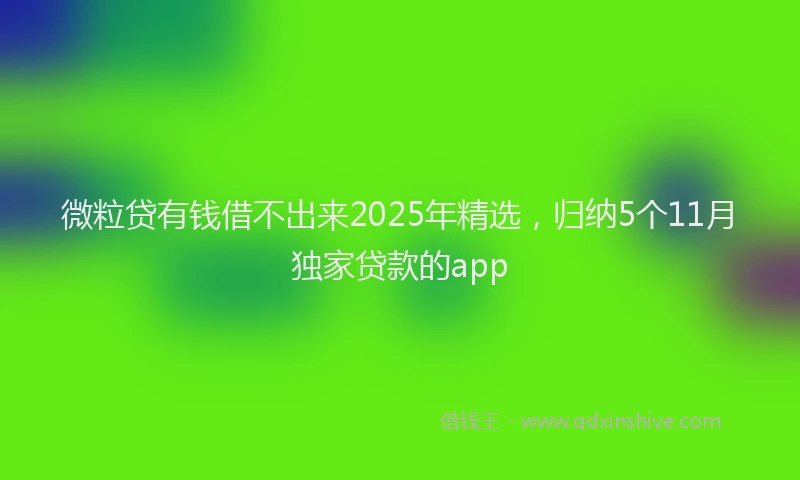 微粒贷有钱借不出来2025年精选，归纳5个11月独家贷款的app