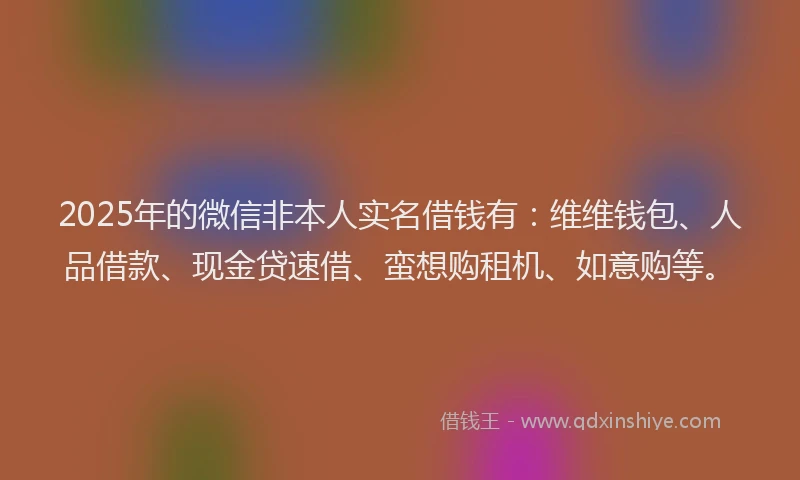 2025年的微信非本人实名借钱有：维维钱包、人品借款、现金贷速借、蛮想购租机、如意购等。