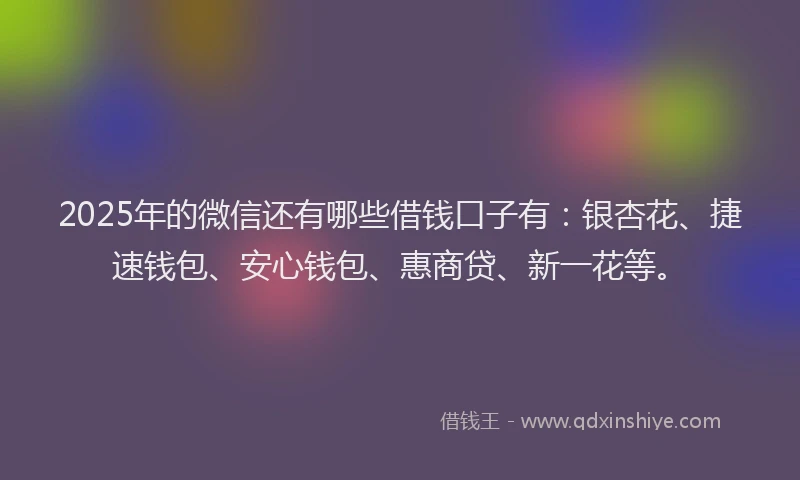 2025年的微信还有哪些借钱口子有：银杏花、捷速钱包、安心钱包、惠商贷、新一花等。